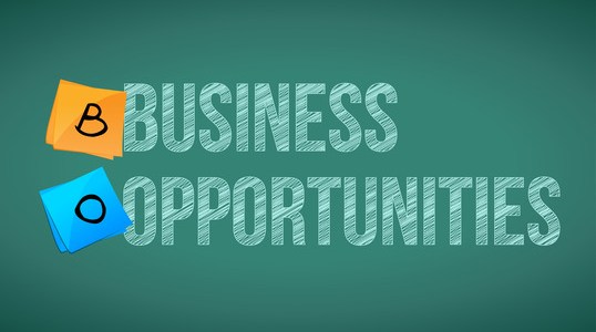 hidden business opportunities in nigeria
