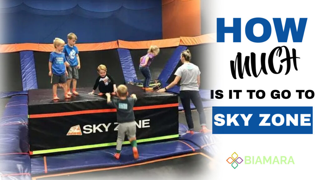 how much is it to go to sky zone